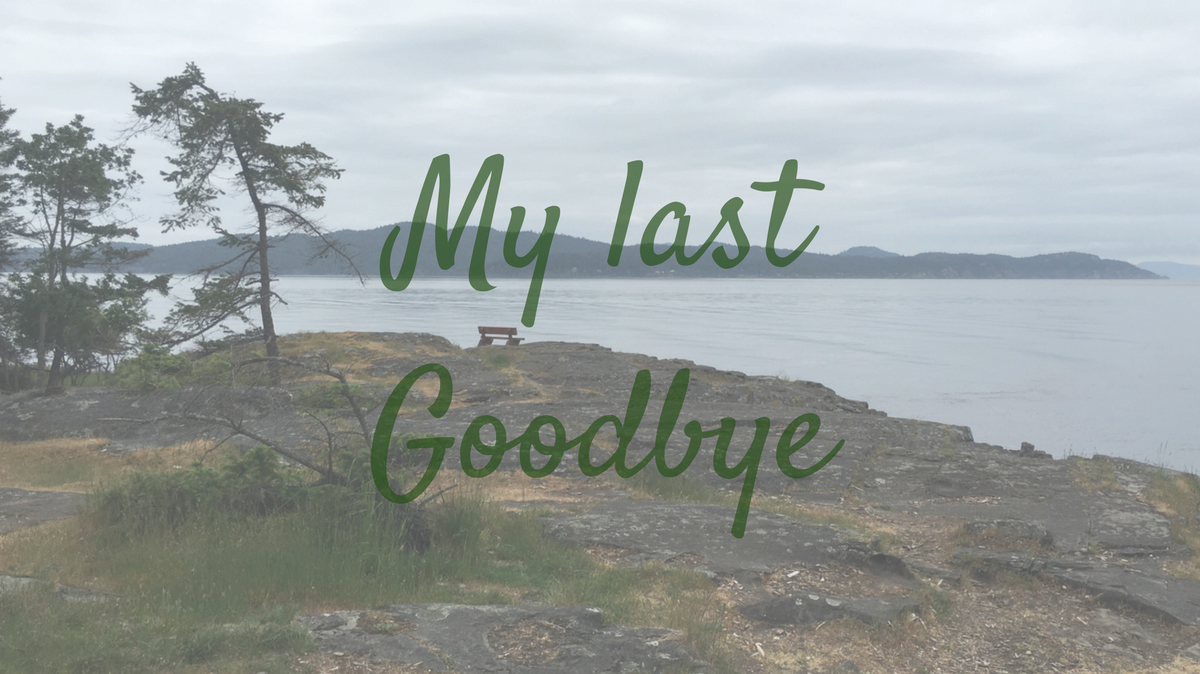 my-last-goodbye