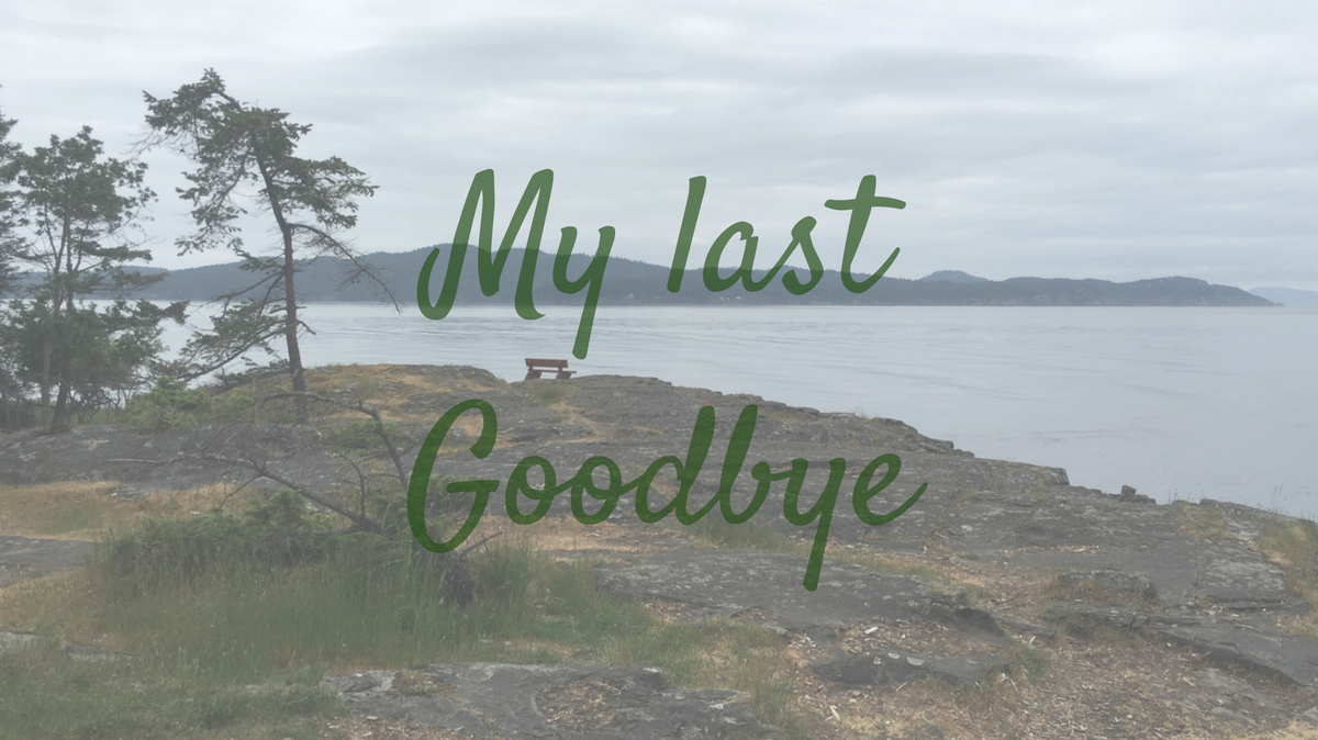 my-last-goodbye-serintogo